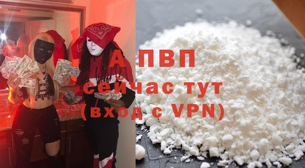 гидра Алзамай