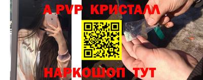 2c-b Кингисепп