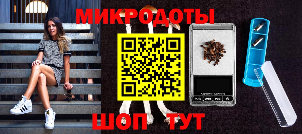 Галлюциногенные грибы ЛСД Курчалой
